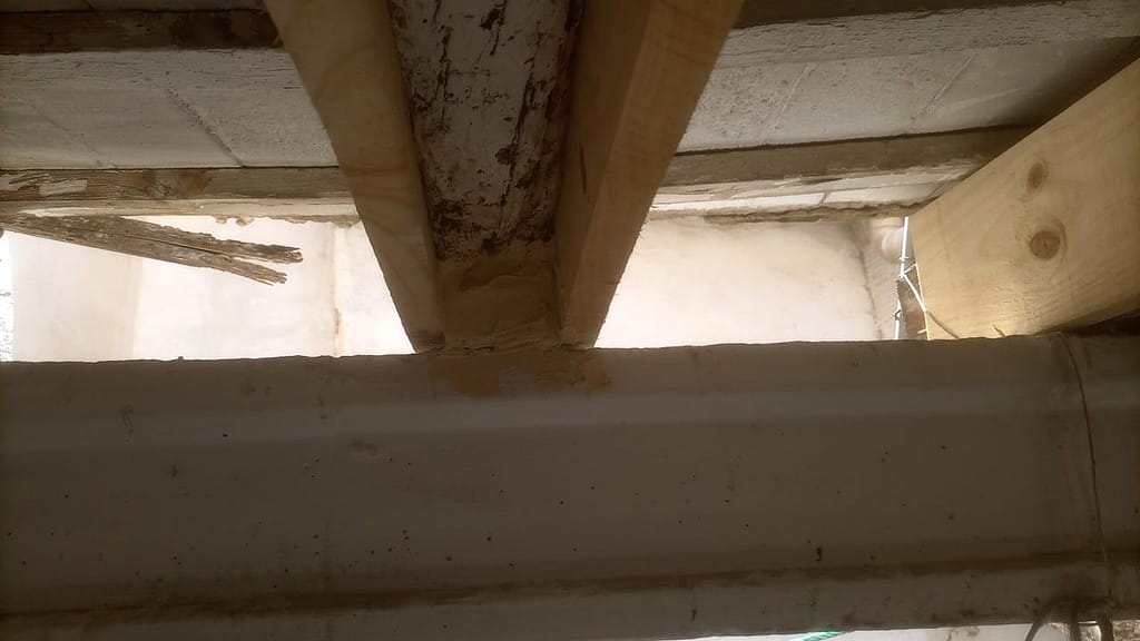 Eliminación termitas y posterior restauración 05