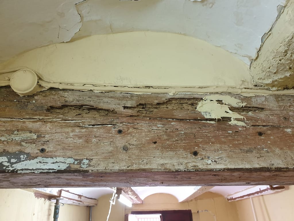 Eliminación termitas y posterior restauración 02