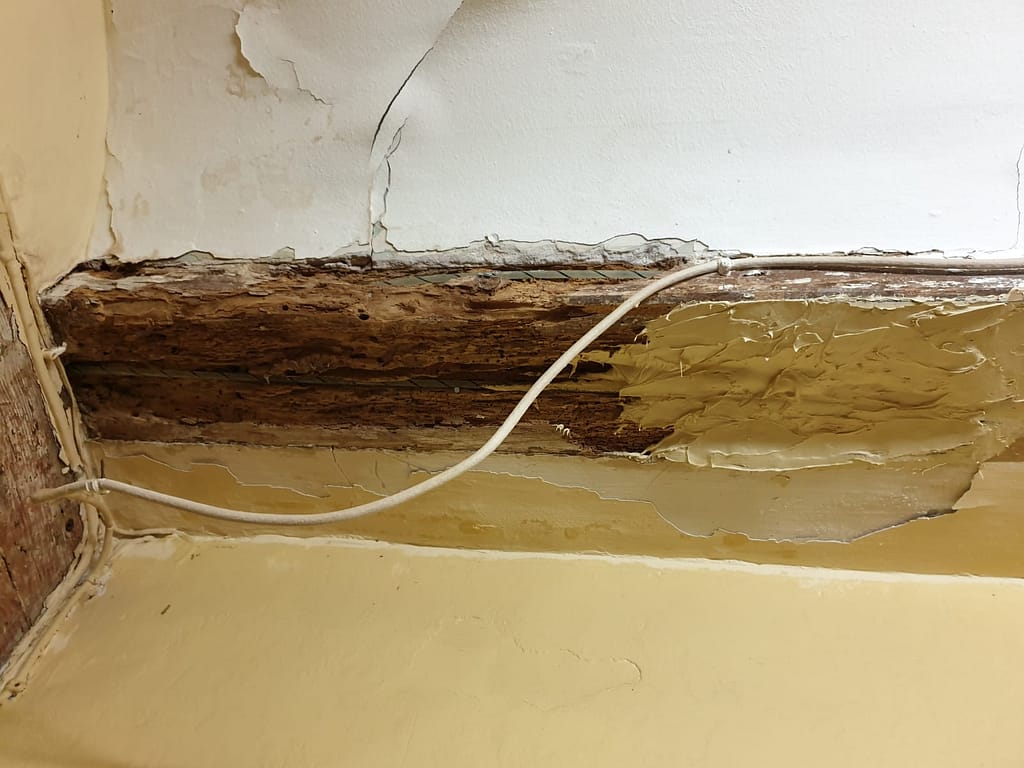 Eliminación termitas y posterior restauración 08