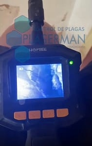 Inspección termitas con cámara endoscópica