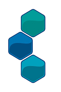 Logo celdas plaserman transparente