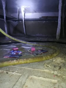 Análisis estructural importancia control de plagas