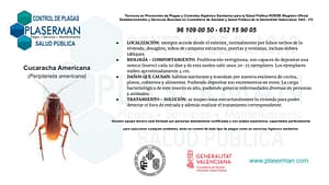 Plaserman control de plagas Valencia cucaracha americana