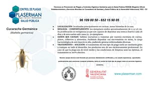 Plaserman control de plagas Valencia cucaracha germánica