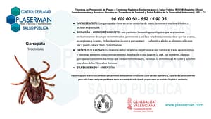 Plaserman control de plagas Valencia garrapatas