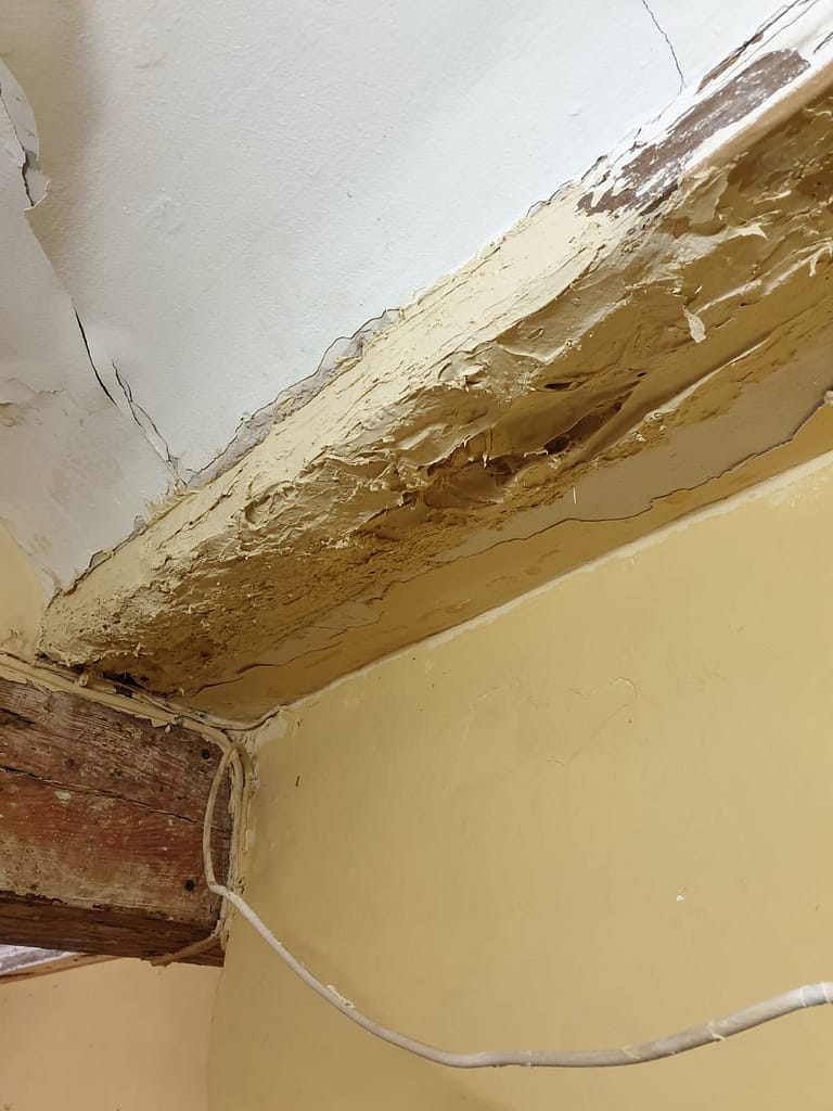Eliminación termitas y posterior restauración 03