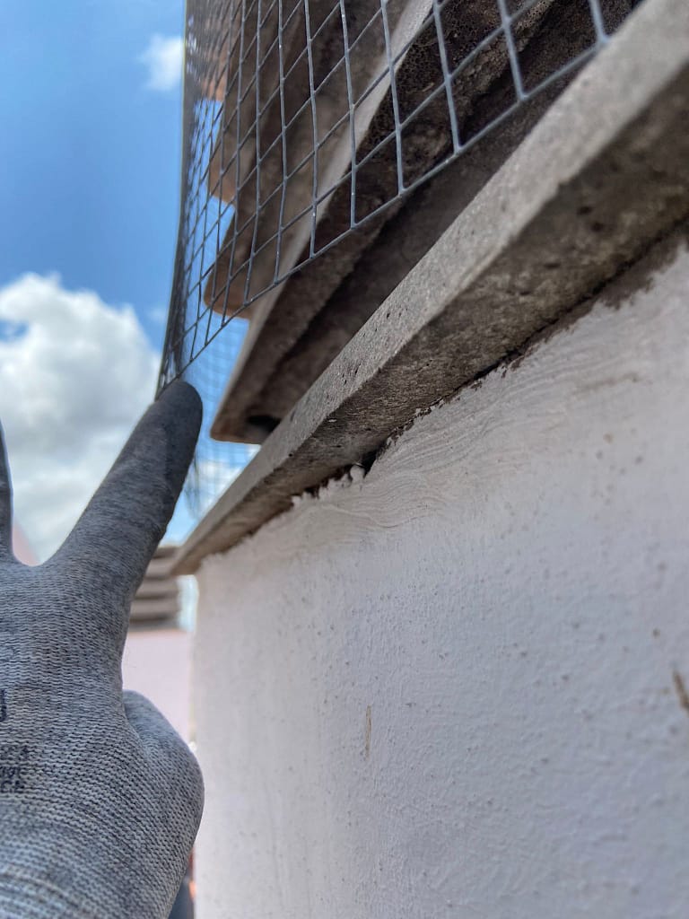 Instalación de redes en chimeneas comunitarias para prevenir la anidación de estorninos